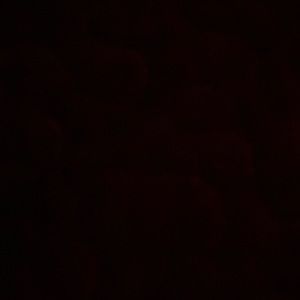 Meet your Posher, Jesse